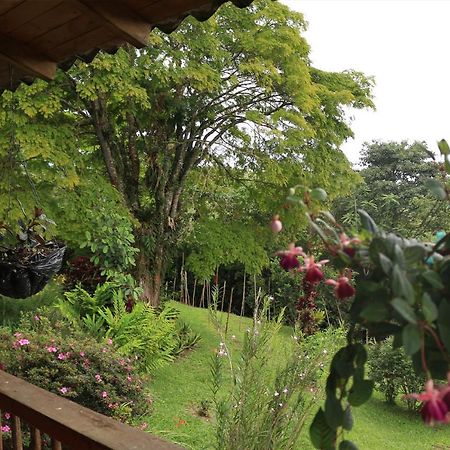 Finca Chalet La Tawa Sevilla  ภายนอก รูปภาพ