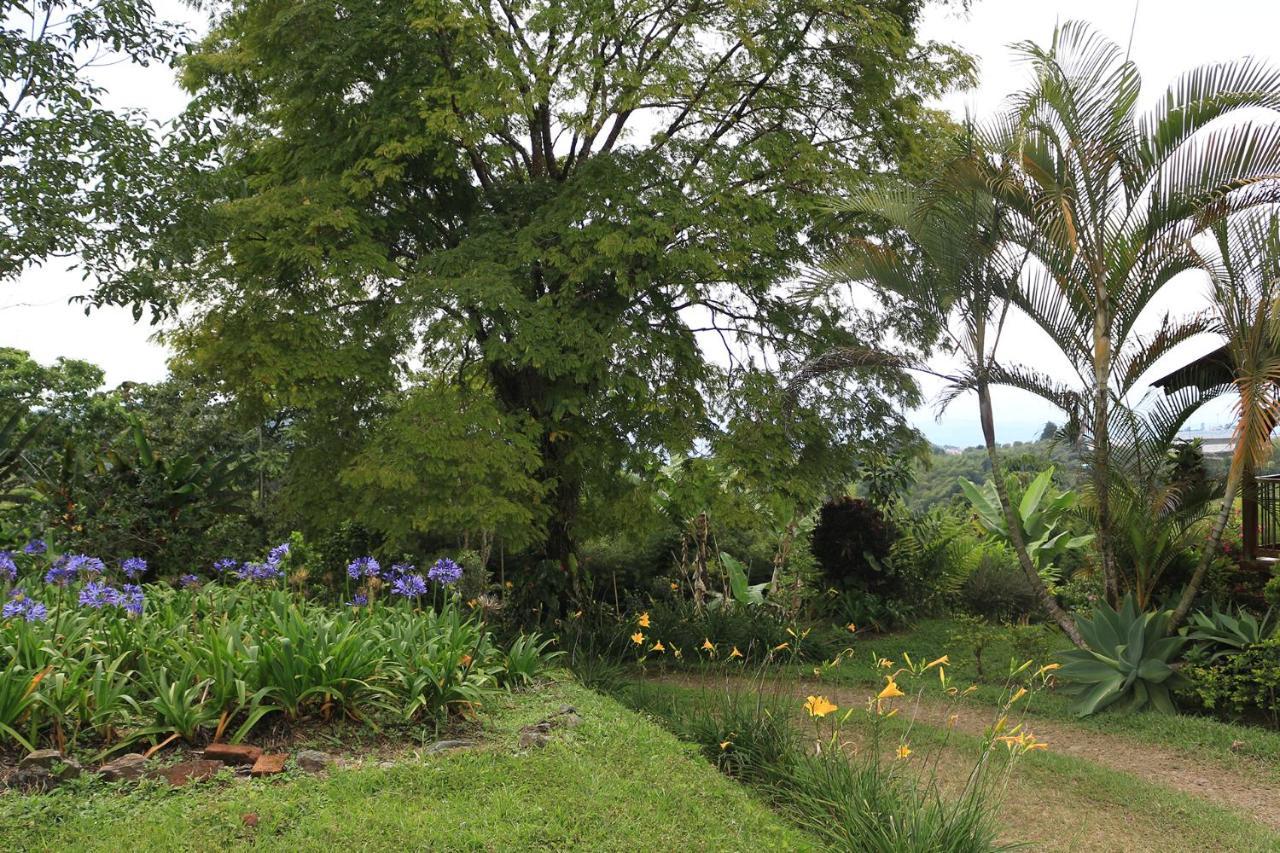 Finca Chalet La Tawa Sevilla  ภายนอก รูปภาพ